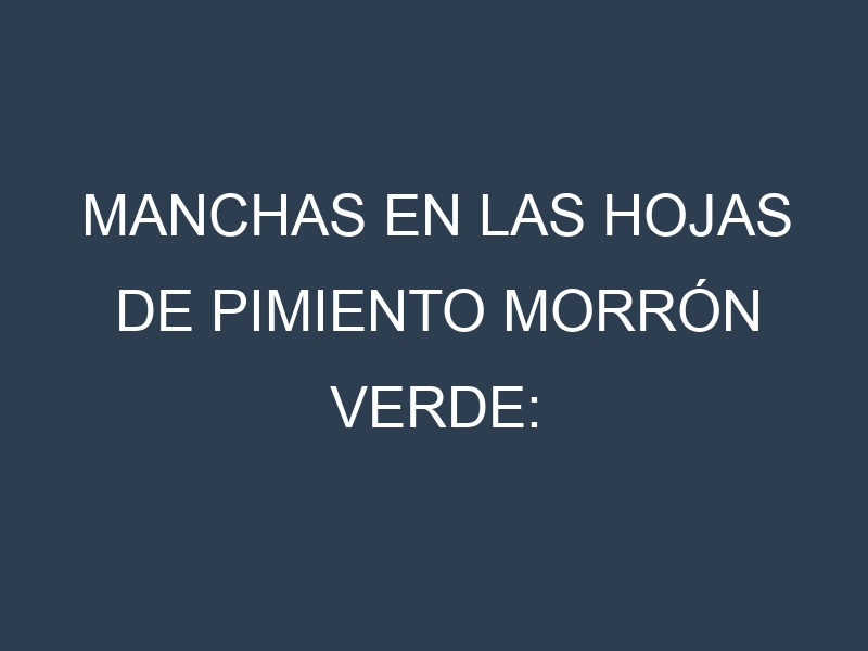 Manchas en las hojas de Pimiento morrón verde: Identificación, Causas y Estrategias de Control Efectivo
