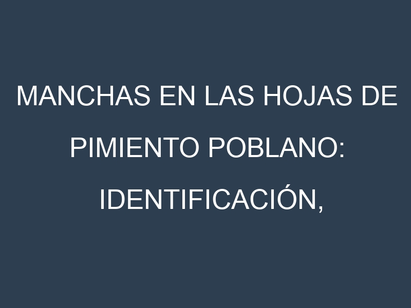 Manchas en las hojas de Pimiento poblano: Identificación, Causas y Estrategias de Control Efectivo