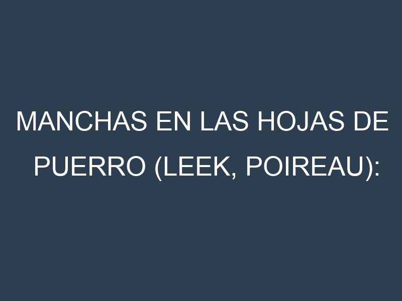 Manchas en las hojas de Puerro (Leek, poireau): Identificación, Causas y Estrategias de Control Efectivo