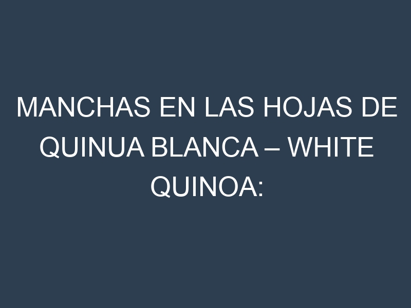 Manchas en las hojas de Quinua blanca – White quinoa: Identificación, Causas y Estrategias de Control Efectivo