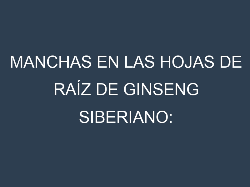 Manchas en las hojas de Raíz de ginseng siberiano: Identificación, Causas y Estrategias de Control Efectivo
