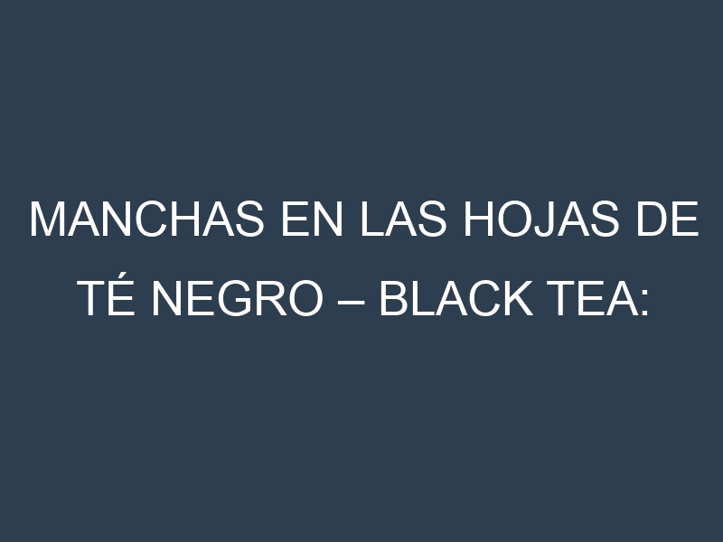 Manchas en las hojas de Té negro – Black tea: Identificación, Causas y Estrategias de Control Efectivo