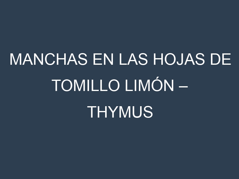 Manchas en las hojas de Tomillo limón – Thymus citriodorus: Identificación, Causas y Estrategias de Control Efectivo