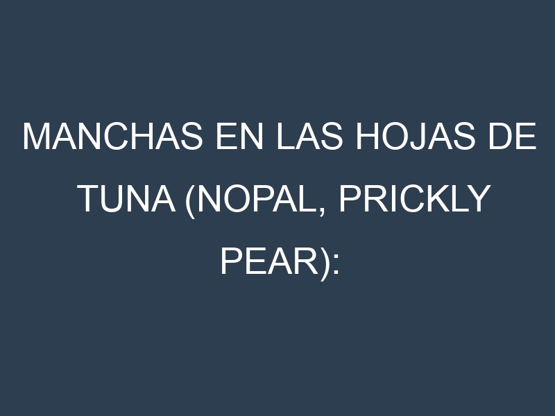 Manchas en las hojas de Tuna (Nopal, prickly pear): Identificación, Causas y Estrategias de Control Efectivo