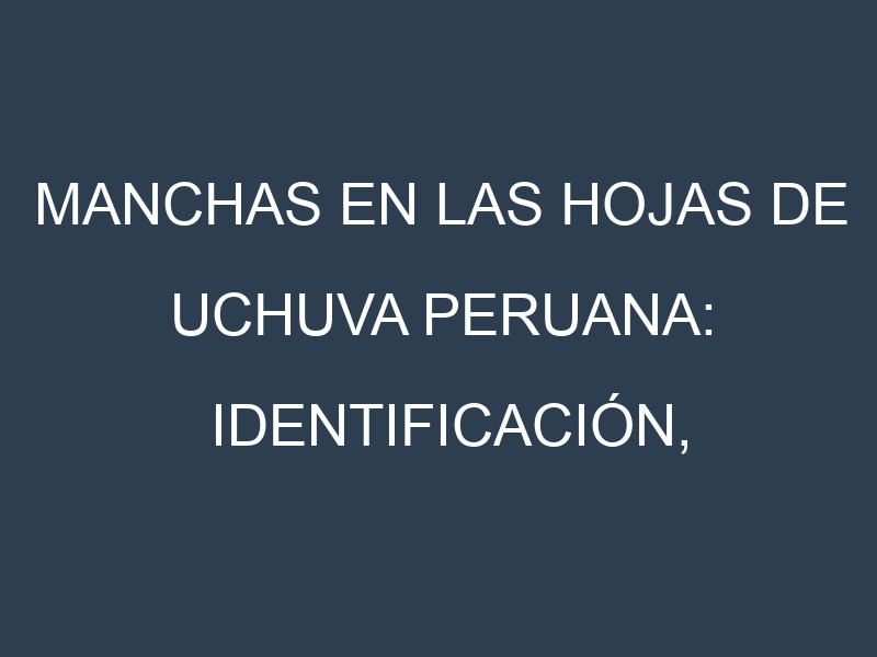 Manchas en las hojas de Uchuva peruana: Identificación, Causas y Estrategias de Control Efectivo