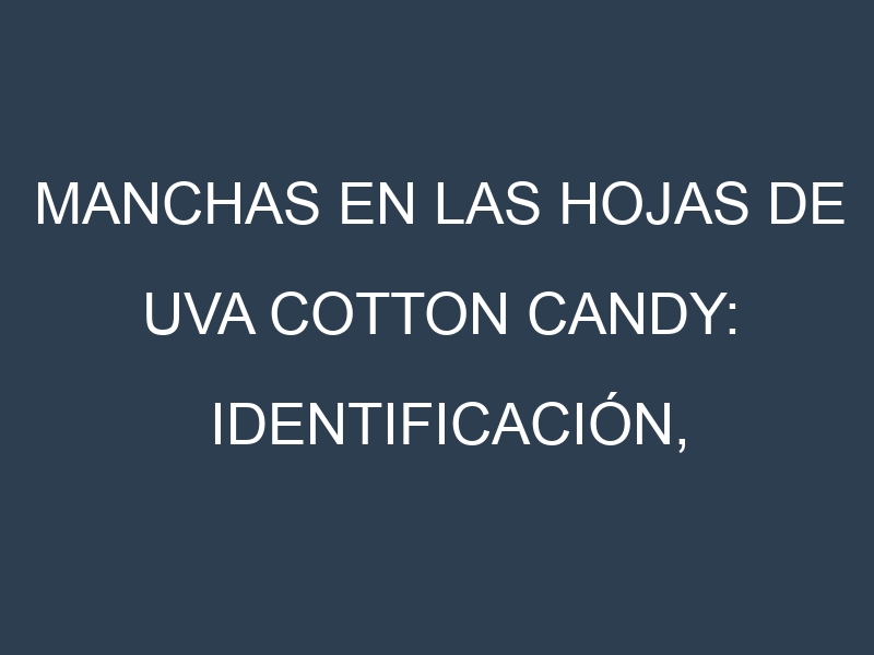 Manchas en las hojas de Uva Cotton Candy: Identificación, Causas y Estrategias de Control Efectivo