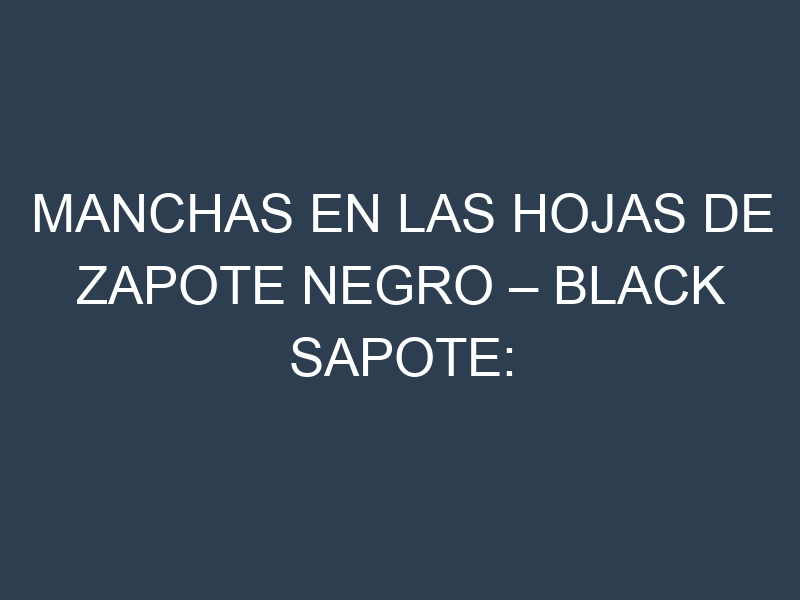 Manchas en las hojas de Zapote negro – Black sapote: Identificación, Causas y Estrategias de Control Efectivo