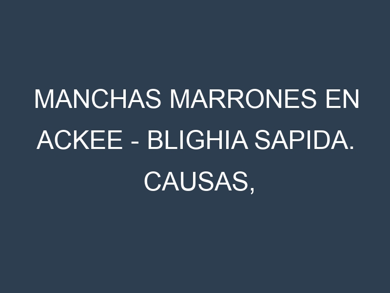 Manchas marrones en Ackee – Blighia sapida. Causas, Prevención y Soluciones