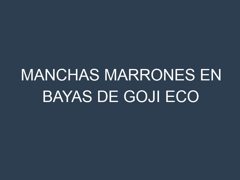 Manchas Marrones en Bayas De Goji Eco