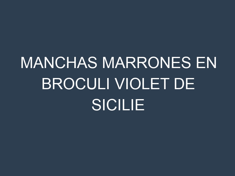 Manchas Marrones en Broculi Violet De Sicilie