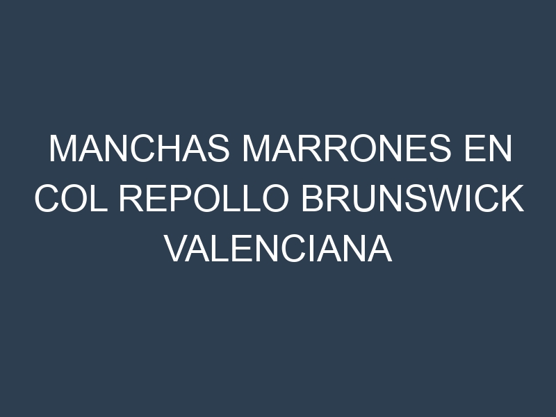 Manchas Marrones en Col Repollo Brunswick Valenciana