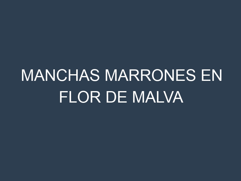 Manchas Marrones en Flor De Malva