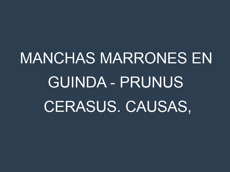 Manchas marrones en Guinda – Prunus cerasus. Causas, Prevención y Soluciones