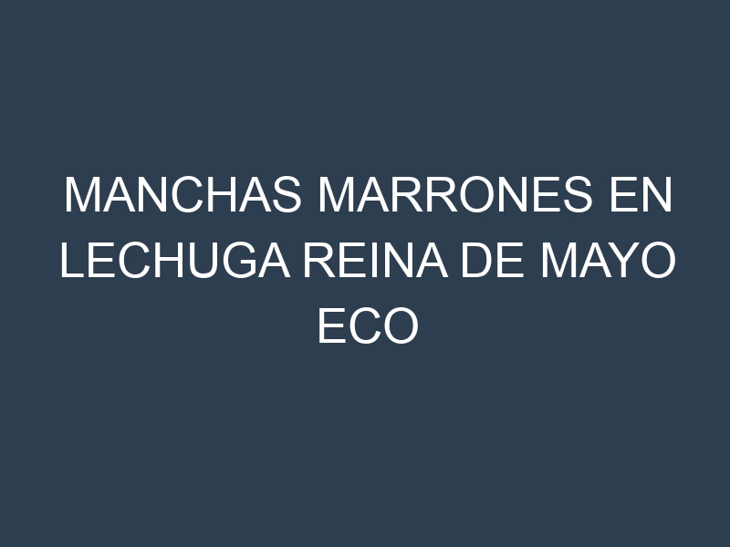 Manchas Marrones en Lechuga Reina De Mayo Eco