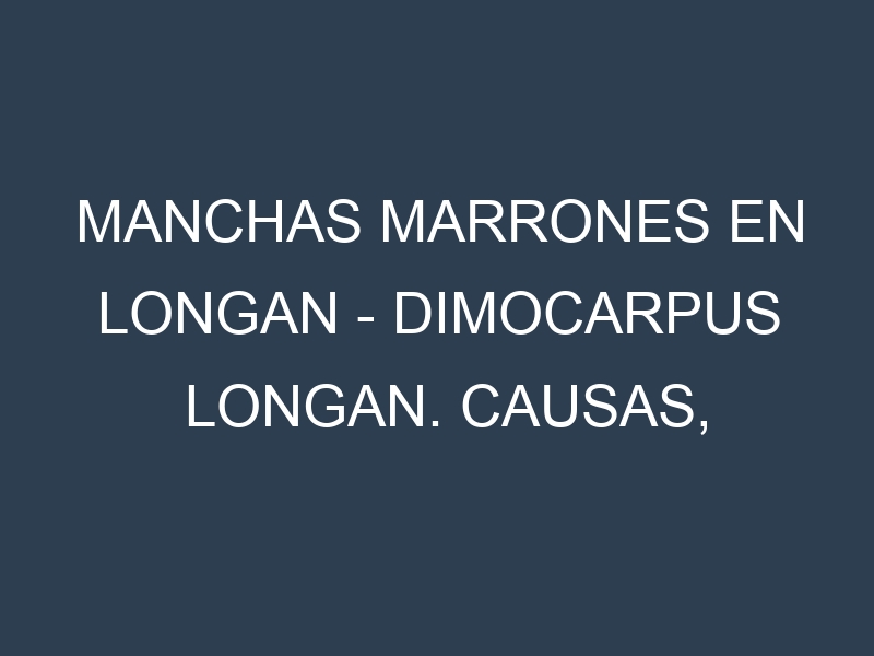 Manchas marrones en Longan – Dimocarpus longan. Causas, Prevención y Soluciones