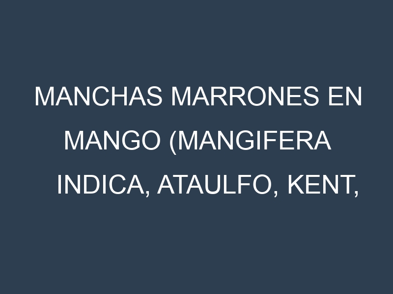 Manchas Marrones en Mango (Mangifera indica, Ataulfo, Kent, Haden). Hojas con manchas marrones en Mango (Mangifera indica, Ataulfo, Kent, Haden).