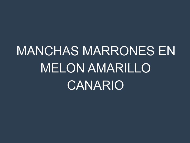 Manchas Marrones en Melon Amarillo Canario