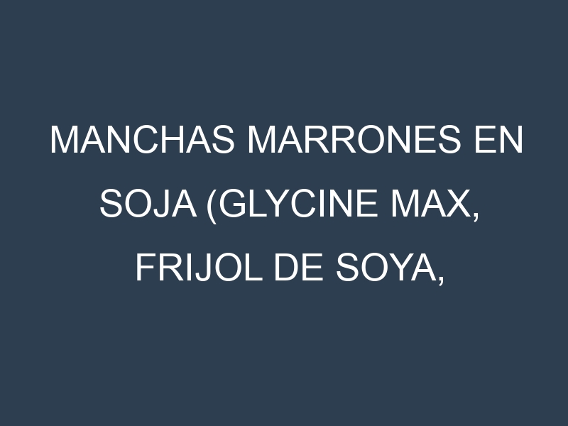 Manchas Marrones en Soja (Glycine max, Frijol de soya, Soya). Hojas con manchas marrones en Soja (Glycine max, Frijol de soya, Soya).