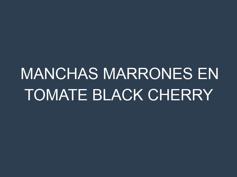 Manchas Marrones en Tomate Black Cherry
