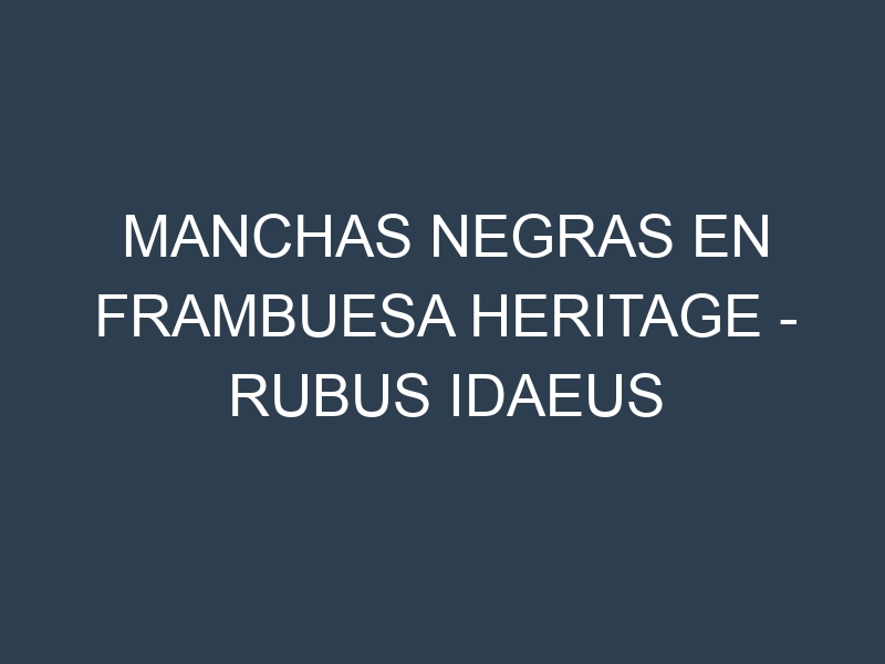 Manchas Negras en Frambuesa Heritage – Rubus idaeus ‘Heritage’: Causas, Efectos y Manejo