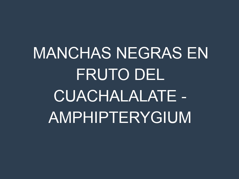 Manchas Negras en Fruto del cuachalalate – Amphipterygium adstringens: Causas, Efectos y Manejo