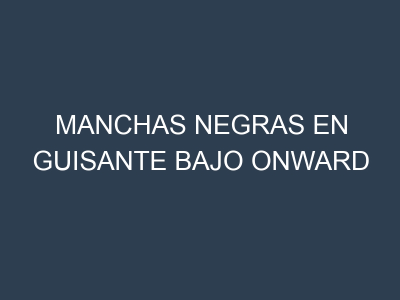 Manchas Negras en Guisante Bajo Onward