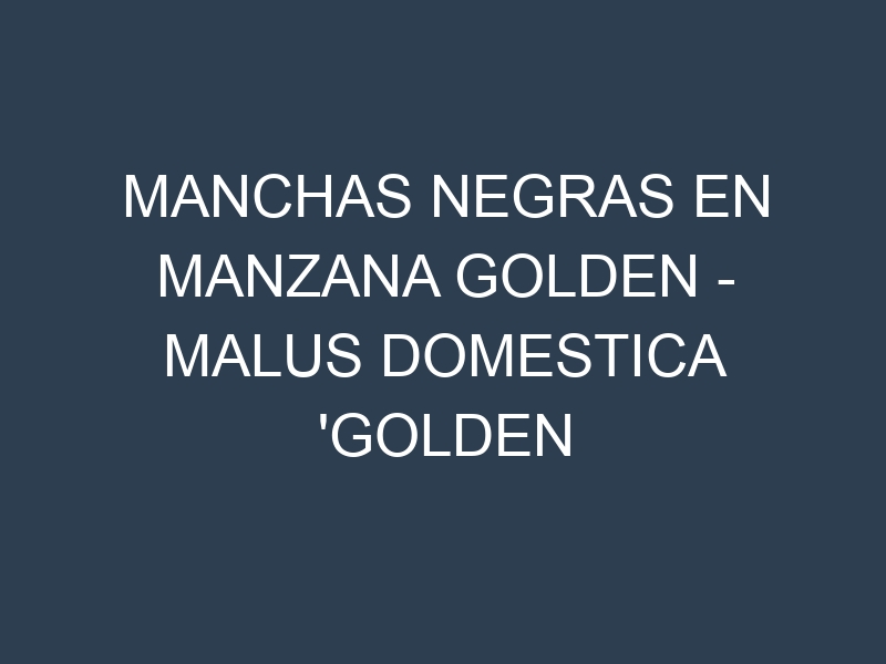 Manchas Negras en Manzana Golden – Malus domestica ‘Golden Delicious’: Causas, Efectos y Manejo