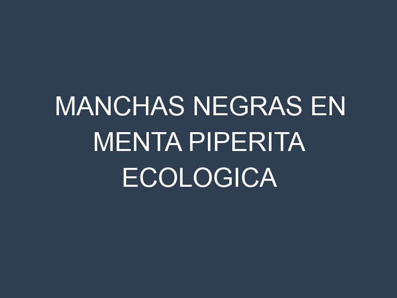 Manchas Negras en Menta Piperita Ecologica