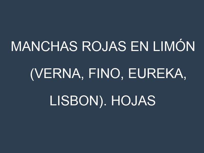 Manchas rojas en Limón (Verna, Fino, Eureka, Lisbon). Hojas con manchas rojas en Limón (Verna, Fino, Eureka, Lisbon).
