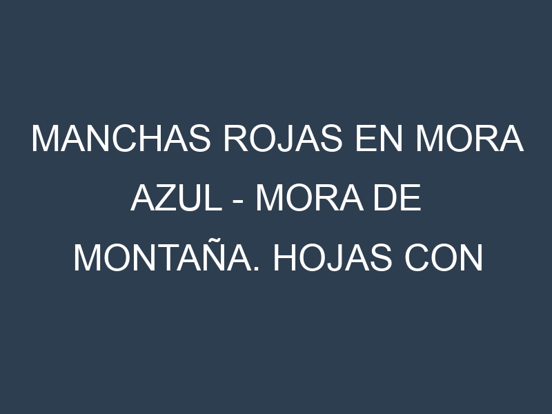 Manchas rojas en Mora azul – Mora de montaña. Hojas con manchas rojas en Mora azul – Mora de montaña.