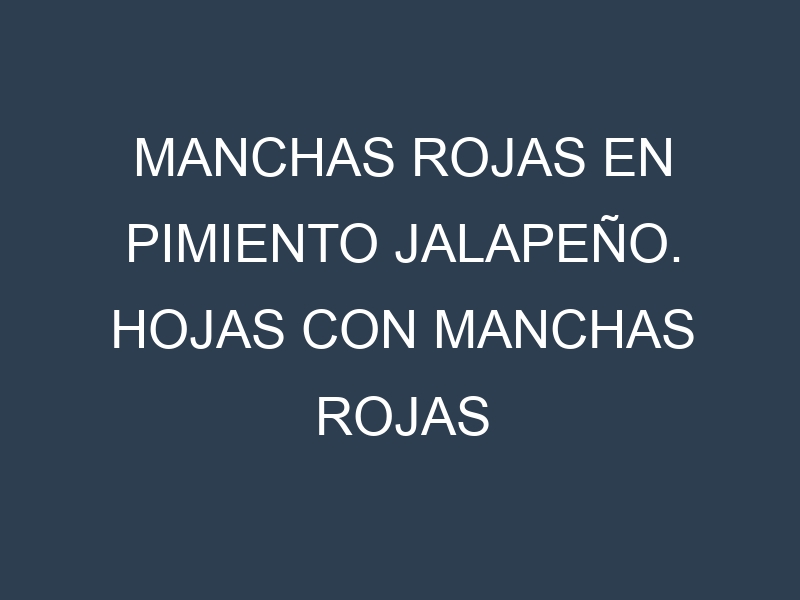 Manchas rojas en Pimiento jalapeño. Hojas con manchas rojas en Pimiento jalapeño.