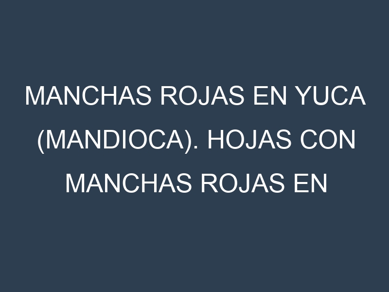 Manchas rojas en Yuca (mandioca). Hojas con manchas rojas en Yuca (mandioca).