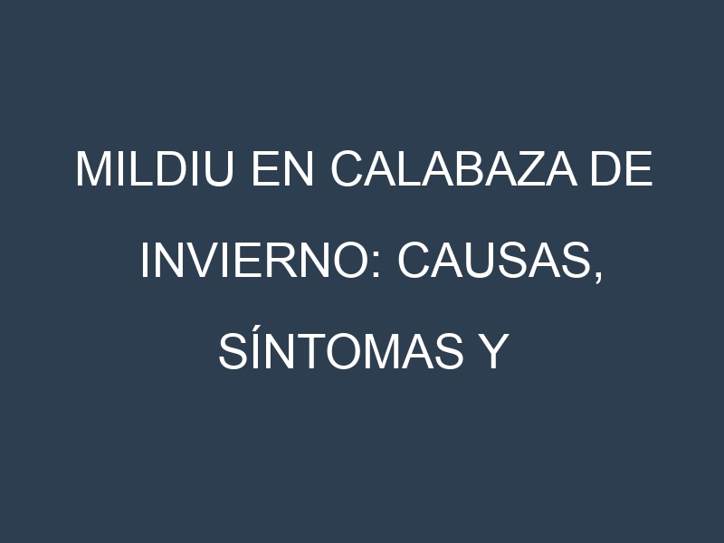 Mildiu en Calabaza de invierno: Causas, Síntomas y Estrategias de Control en Cultivos