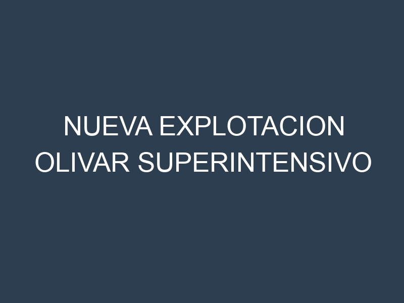 NUEVA EXPLOTACION OLIVAR SUPERINTENSIVO