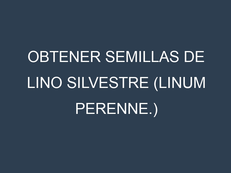 Obtener Semillas de Lino Silvestre (Linum perenne.)