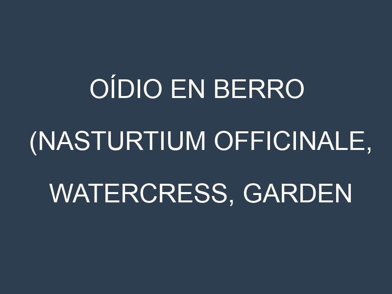 Oídio en Berro (Nasturtium officinale, Watercress, Garden cress): síntomas, ciclo de vida y estrategias de control