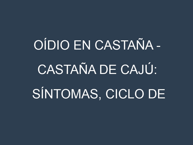 Oídio en Castaña – Castaña de cajú: síntomas, ciclo de vida y estrategias de control