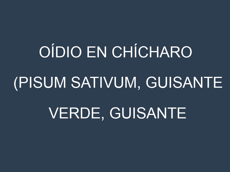 Oídio en Chícharo (Pisum sativum, Guisante verde, Guisante común): síntomas, ciclo de vida y estrategias de control