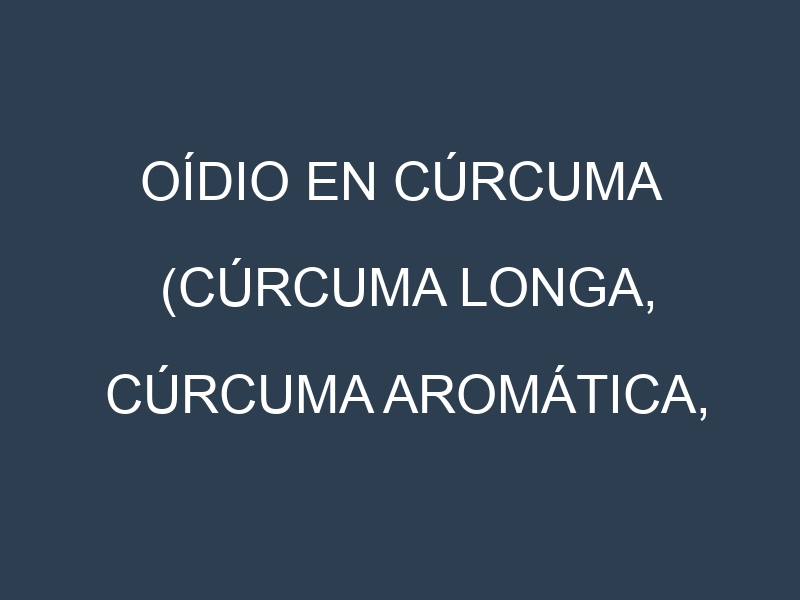 Oídio en Cúrcuma (Cúrcuma longa, Cúrcuma aromática, Cúrcuma zanthorrhiza): síntomas, ciclo de vida y estrategias de control