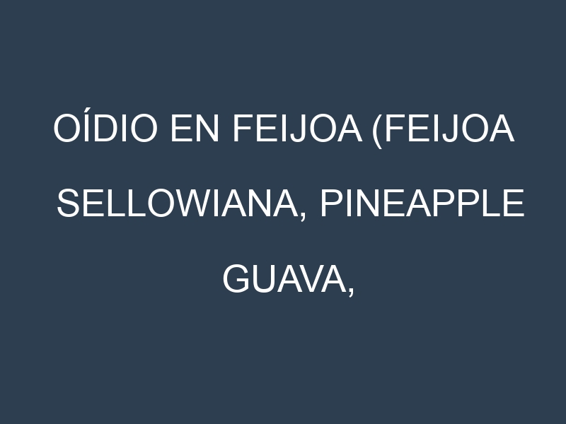 Oídio en Feijoa (Feijoa sellowiana, Pineapple guava, Coolidge, Apollo): síntomas, ciclo de vida y estrategias de control