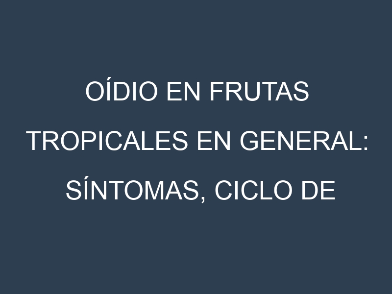 Oídio en Frutas tropicales en general: síntomas, ciclo de vida y estrategias de control