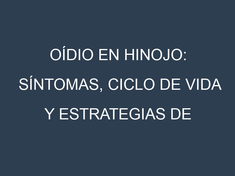 Oídio en Hinojo: síntomas, ciclo de vida y estrategias de control