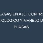 Plagas en Ajo. Control biológico y Manejo de plagas.