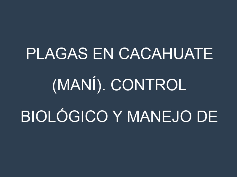 Plagas en Cacahuate (maní). Control biológico y Manejo de plagas.