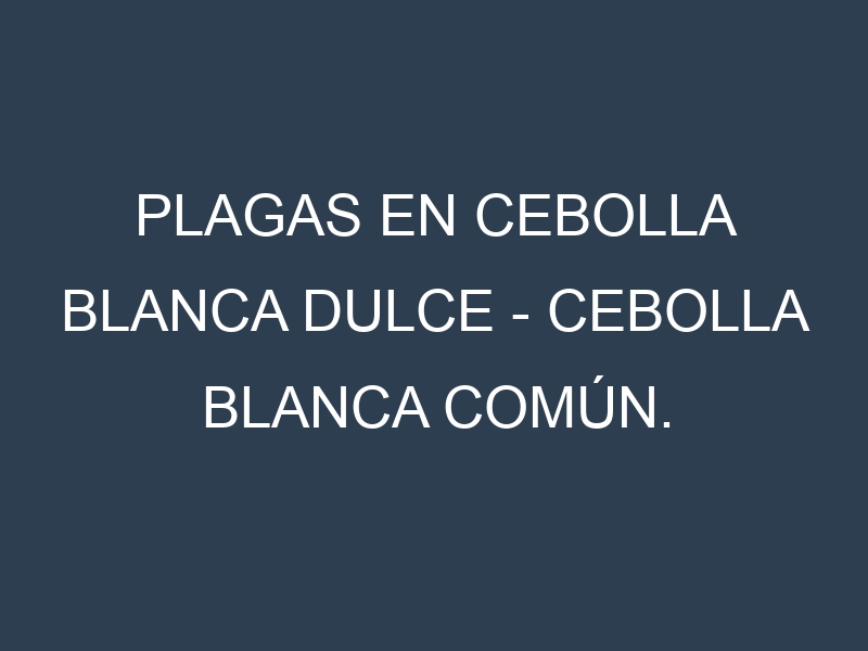 Plagas en Cebolla blanca dulce – Cebolla blanca común. Control biológico y Manejo de plagas.