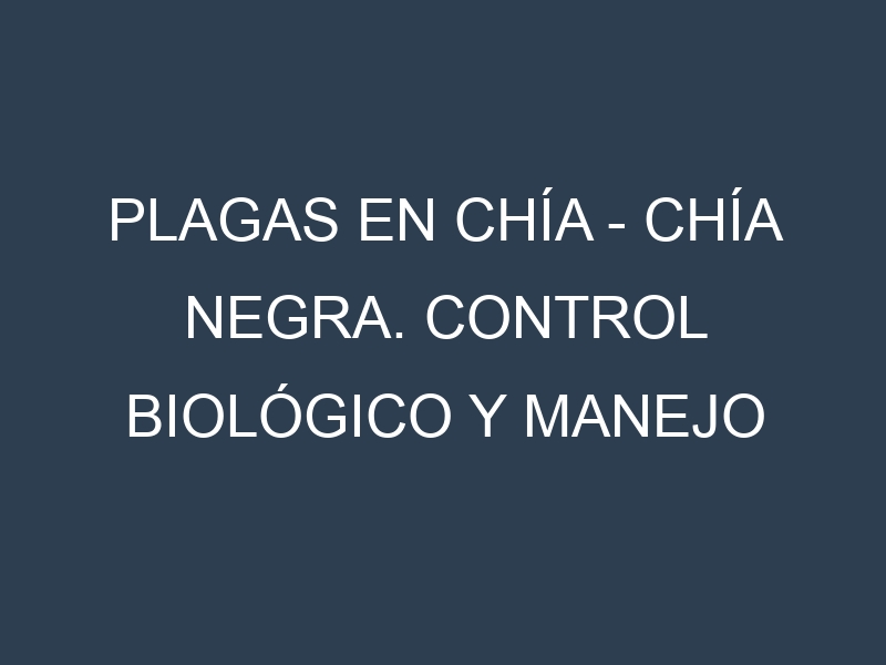 Plagas en Chía – Chía negra. Control biológico y Manejo de plagas.