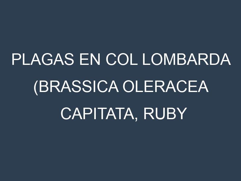 Plagas en Col Lombarda (Brassica oleracea capitata, Ruby Ball, Red Express, Kalibos). Control biológico y Manejo de plagas.