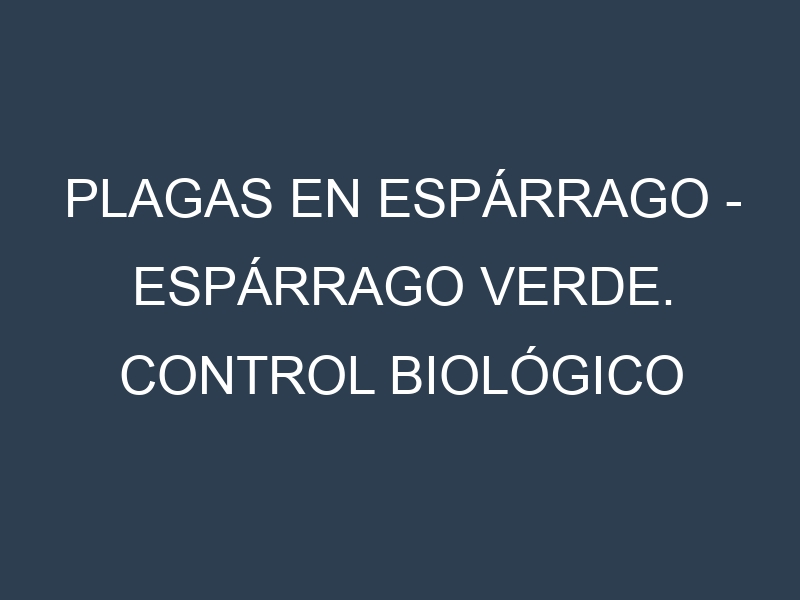 Plagas en Espárrago – Espárrago verde. Control biológico y Manejo de plagas.