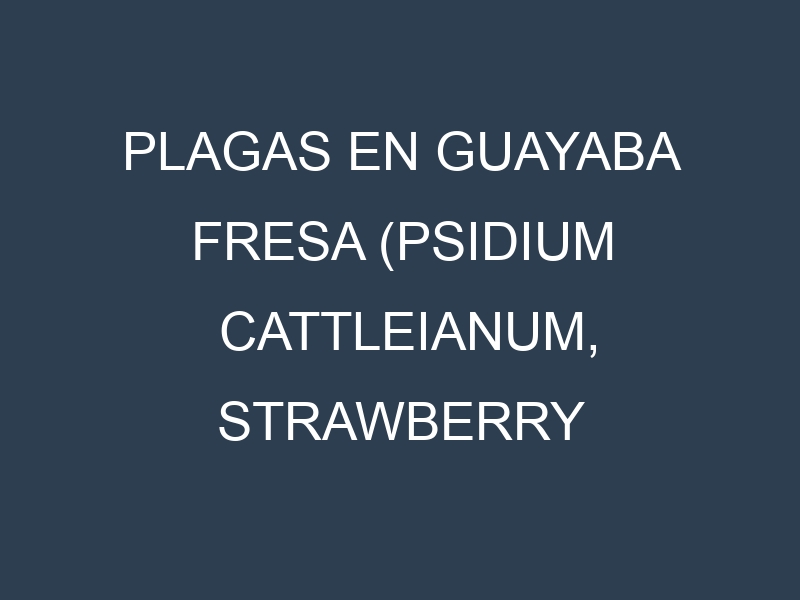 Plagas en Guayaba fresa (Psidium cattleianum, Strawberry guava, Red cattley guava). Control biológico y Manejo de plagas.