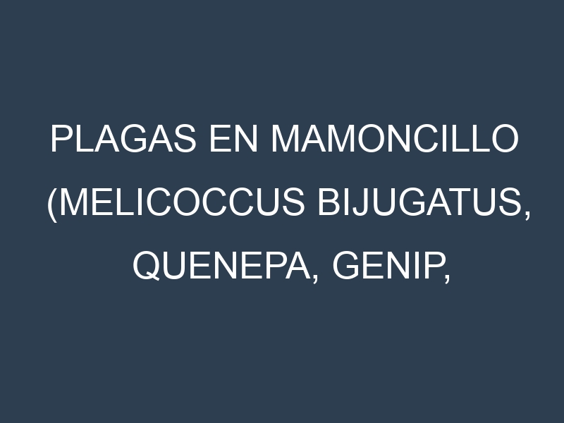 Plagas en Mamoncillo (Melicoccus bijugatus, Quenepa, Genip, Spanish lime). Control biológico y Manejo de plagas.